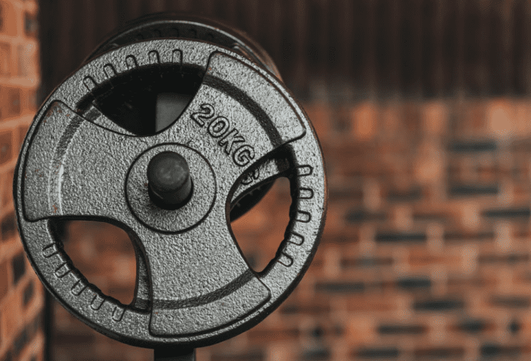 The 8 Best Cheap Weight Plates For Your Home Gym 2023 2023